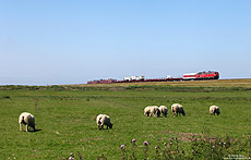 Marschbahn, 218 319 mit Syltshuttle verlässt den Hindenburgdamm