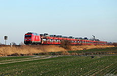 245 022 mit Syltshuttle bei Lehnshallig auf der Marschbahn