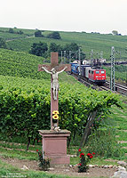 Am Wegekreuz bei Hattenheim, 11.9.2008. 