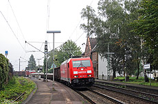 Im Zuge der Einsparung wurden (nicht nur im Rheintal) viele Überholgleise stillgelegt. Auch in Hattenheim rosten die Schienen von Gleis 3 vor sich hin und werden so langsam von der Vegetation „verschluckt“, als die Mannheimer 185 219 mit einem gemischten Güterzug nach Gremberg fährt, 11.9.2008.