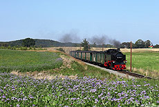 Eine weitere Aufnahme entstand am 19.8.2012 zwischen Serams und Seelvitz. Mit dem P106 war die 99 4011 auf dem Weg von Göhren nach Lauterbach Mole.