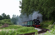 Kurz hinter Binz rollt die 99 4011 mit dem P108 dem nächsten Halt Serams entgegen. 13.7.2009