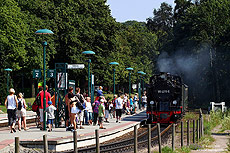 Mit dem P228 fährt die 99 4011 in den Bahnhof Binz LB ein. 16.7.2009
