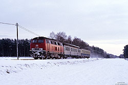 216 164 vom Bw Braunschweig auf der winterliche Sennebahn zwischen Hövelhof und Hövelriege 
