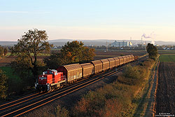 Am 31.10.2012 fährt die 294 670 mit dem FZT54558 zwischen Euskirchen und Großbüllesheim nach Gremberg.