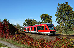 648 205 als RB14845 auf dem zweigleisigen Streckenabschnitt bei Bösperde im herbstlichen sauerland