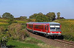 628 315 in verkehrsrot im Herbst in den Weinbergen bei Herxheim auf der Pfälzischen Nordbahn