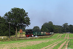Aus Göhren kommend schnauft die 99 4011 mit dem P108 bei Putbus durch die Felder. 