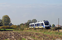 Nahe Burhafe fährt der VT507 und VT526 als NWB 87773 nach Wilhelmshaven. 18.10.08