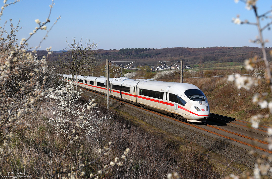 403 055 auf der Schnellfahrstrecke Köln - Rhein/Main bei Bockeroth in der 40 Promille-Steigung mit blühende Büsche