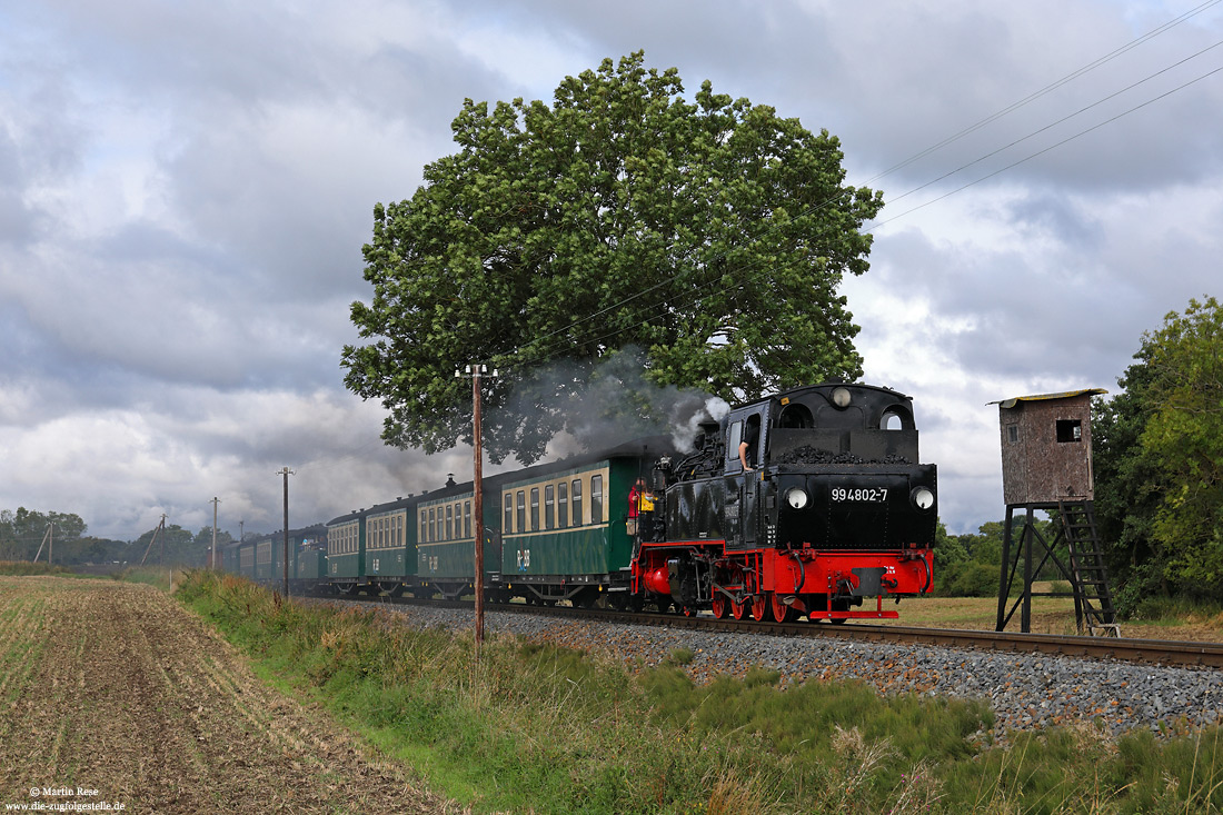 99 4802 der RÜBB mit Hochsitz bei Putbus auf der Insel Rügen