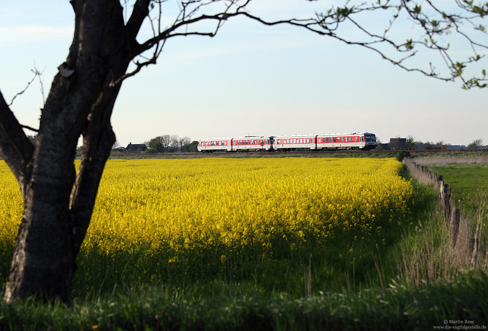 628-Doppel unterwegs als NOB81821 bei Emmelsbüll auf der Marschbahn