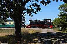 99 4802 der RÜBB am Haltepunkt Beuchow auf Rügen