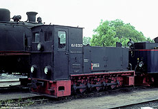 Heeresfeldbahnlokomotive der Bauart HF130C  Deutz 36101 1944 als Köf6003 der RÜKB in Putbus