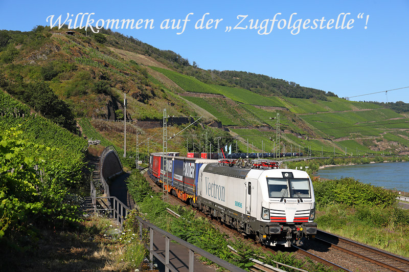 Am späten Nachmittag des 29.7.2024 poltert die 193 968 mit einem KV-Zug bei Boppard durch das Rheintal.